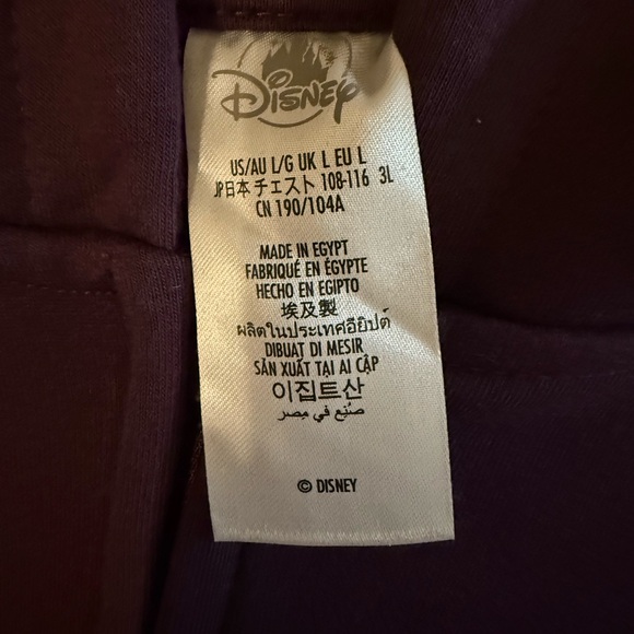 Disneyland Purple Hoodie Sweatshirt - Picture 4 of 6